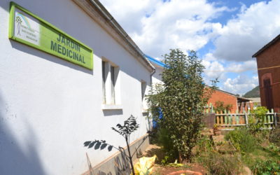 Dans les coulisses de l’association Aromathérapie Sans Frontière